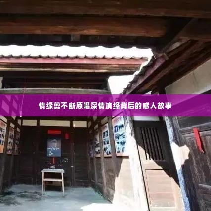 情缘剪不断原唱深情演绎背后的感人故事