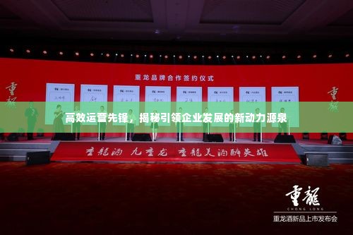 高效运营先锋,揭秘引领企业发展的新动力源泉