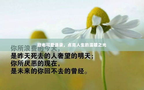 励志可爱语录,点亮人生的温暖之光