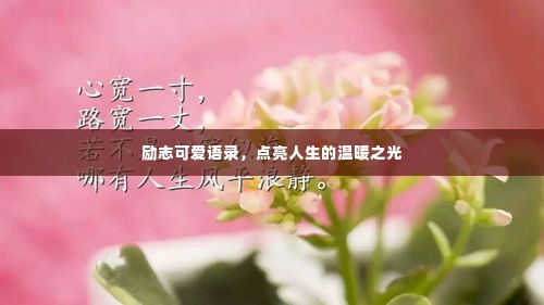 励志可爱语录,点亮人生的温暖之光