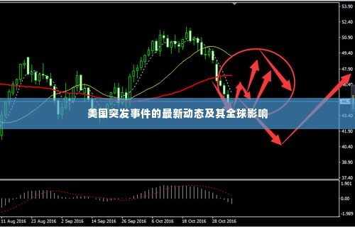 美国突发事件的最新动态及其全球影响