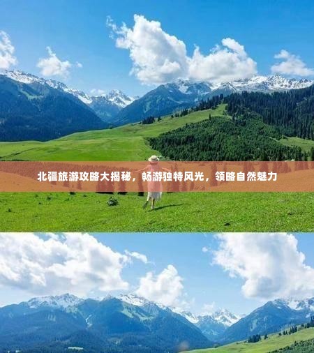 北疆旅游攻略大揭秘，畅游独特风光，领略自然魅力