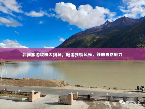 北疆旅游攻略大揭秘,畅游独特风光,领略自然魅力