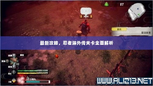 最新攻略,忍者琳外传关卡全面解析