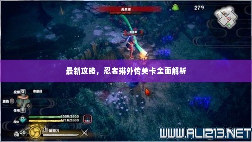 最新攻略,忍者琳外传关卡全面解析