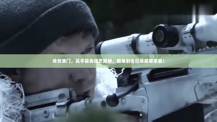 绝世唐门，高手狙击技艺揭秘，精准射击视频震撼来袭！