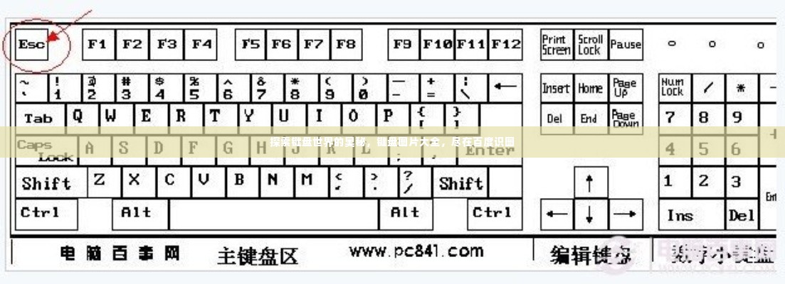 探索键盘世界的奥秘，键盘图片大全，尽在百度识图