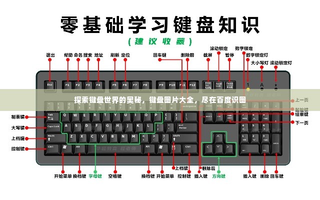 探索键盘世界的奥秘,键盘图片大全,尽在百度识图