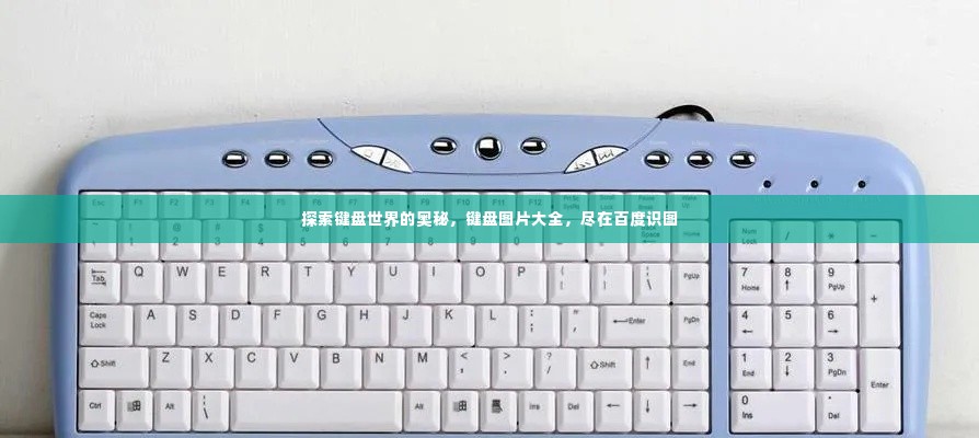 探索键盘世界的奥秘,键盘图片大全,尽在百度识图