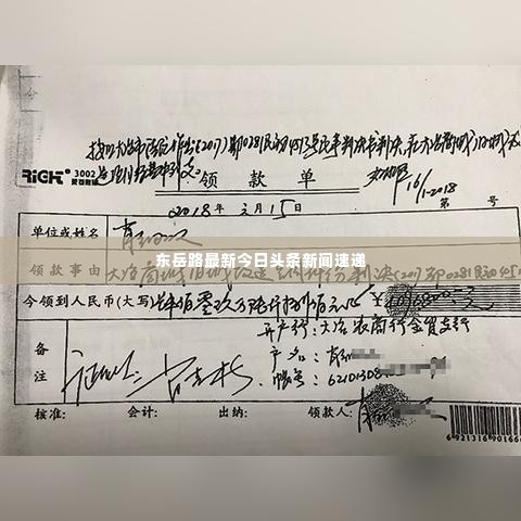 东岳路最新今日头条新闻速递