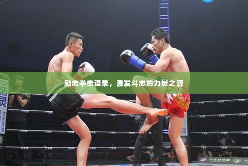 励志拳击语录,激发斗志的力量之源