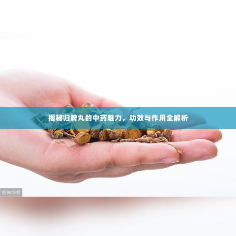 揭秘归脾丸的中药魅力，功效与作用全解析