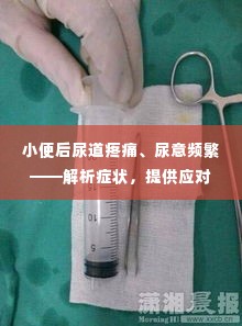 小便后尿道疼痛、尿意频繁——解析症状,提供应对建议