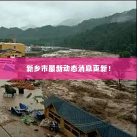 新乡市最新动态消息更新!