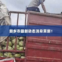 新乡市最新动态消息更新!