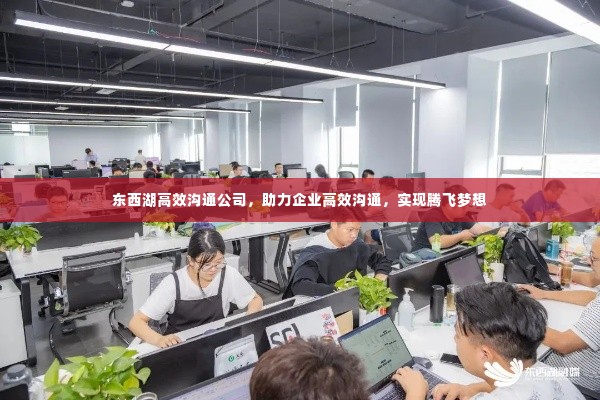 东西湖高效沟通公司,助力企业高效沟通,实现腾飞梦想