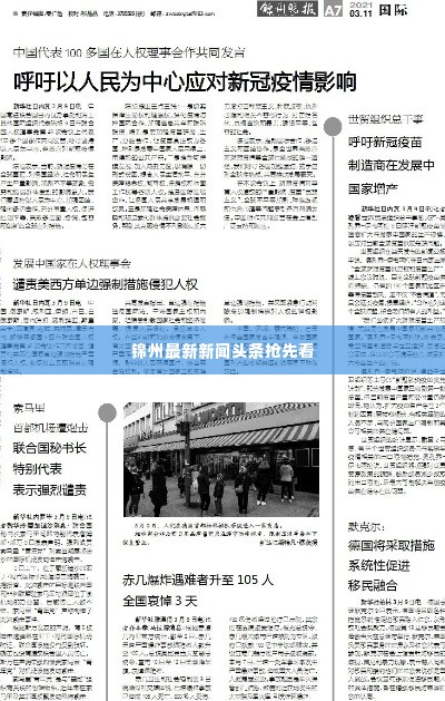 锦州最新新闻头条抢先看