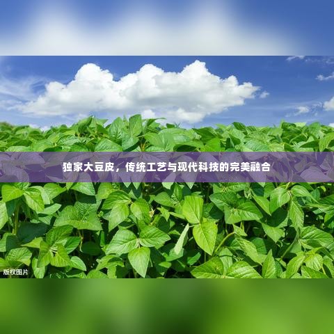 独家大豆皮,传统工艺与现代科技的完美融合