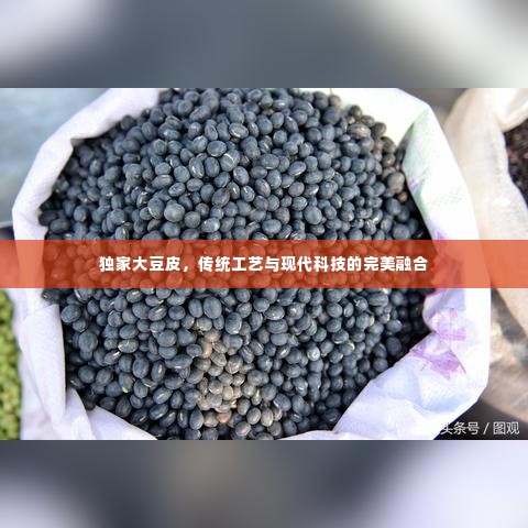 独家大豆皮,传统工艺与现代科技的完美融合