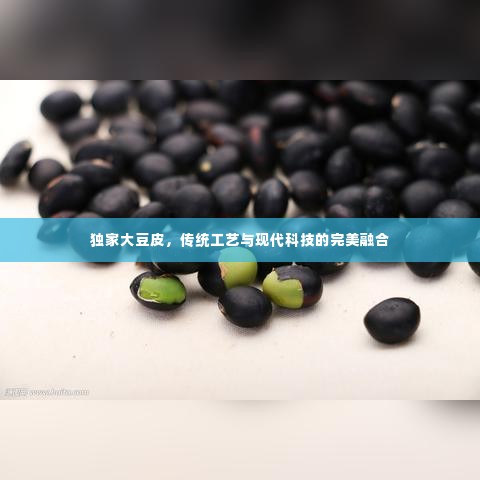 独家大豆皮,传统工艺与现代科技的完美融合