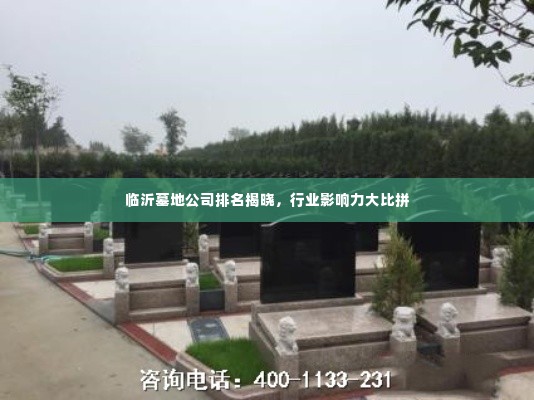 临沂墓地公司排名揭晓，行业影响力大比拼