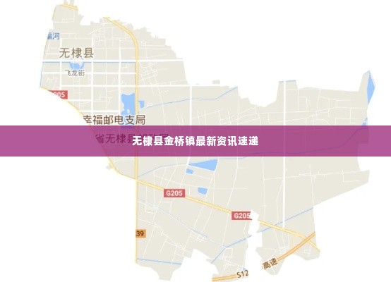 无棣县金桥镇最新资讯速递