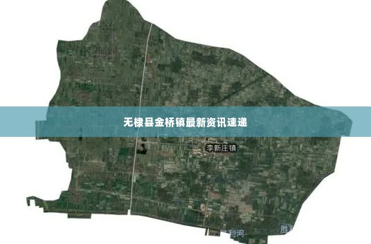 无棣县金桥镇最新资讯速递