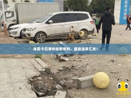 泌阳今日事件独家爆料，最新消息汇总！