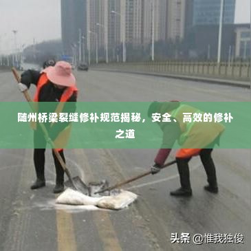 随州桥梁裂缝修补规范揭秘,安全、高效的修补之道