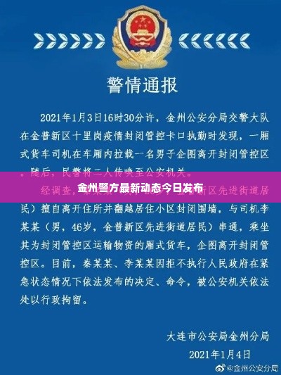 金州警方最新动态今日发布