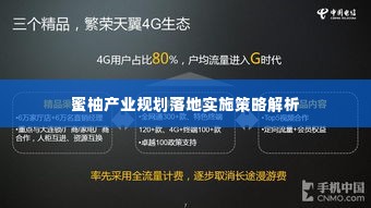 蜜柚产业规划落地实施策略解析