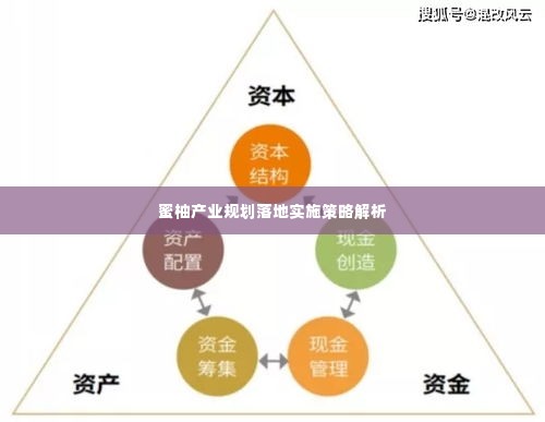 蜜柚产业规划落地实施策略解析