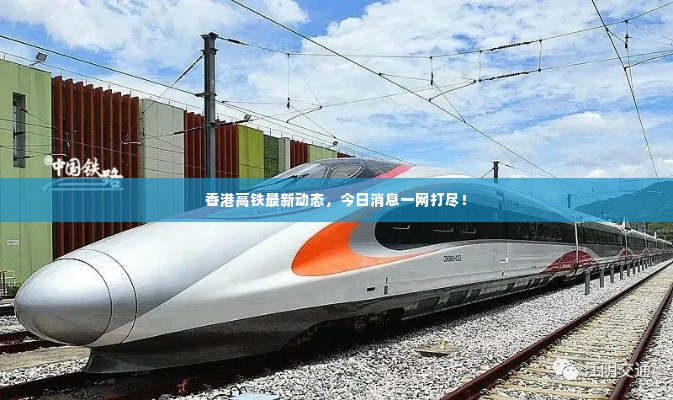 香港高铁最新动态,今日消息一网打尽!