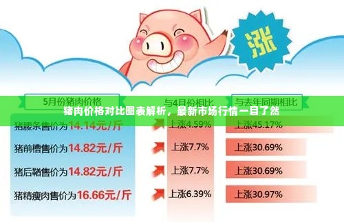 猪肉价格对比图表解析，最新市场行情一目了然