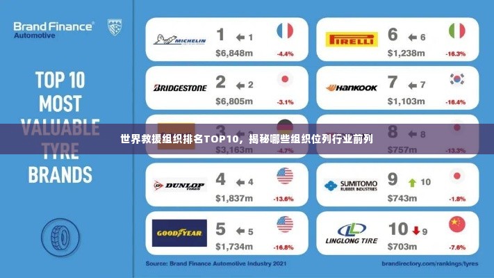 世界救援组织排名TOP10,揭秘哪些组织位列行业前列