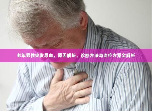 老年男性突发尿血,原因解析、诊断方法与治疗方案全解析