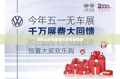 双鸭山农场最新头条新闻速递