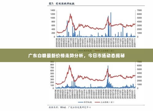 广东白糖最新价格走势分析,今日市场动态揭秘