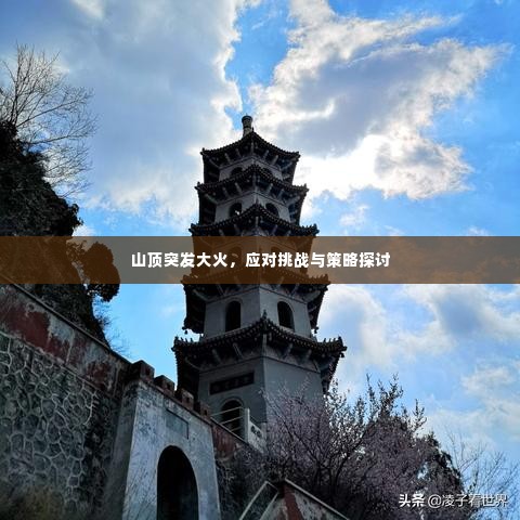 山顶突发大火,应对挑战与策略探讨