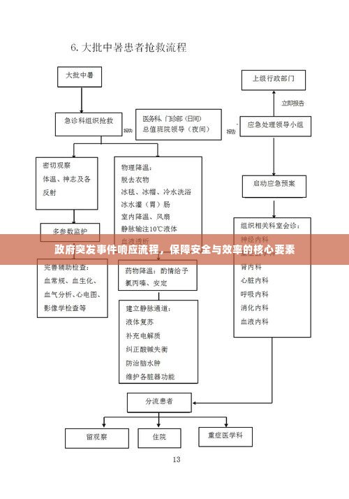 政府突发事件响应流程,保障安全与效率的核心要素