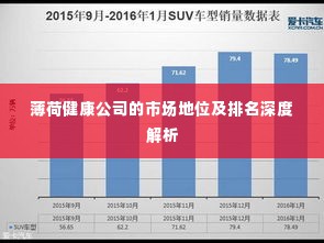 薄荷健康公司的市场地位及排名深度解析