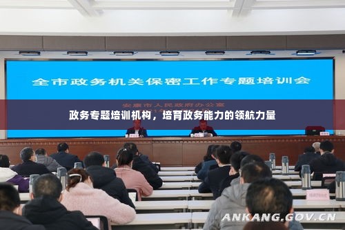 政务专题培训机构,培育政务能力的领航力量