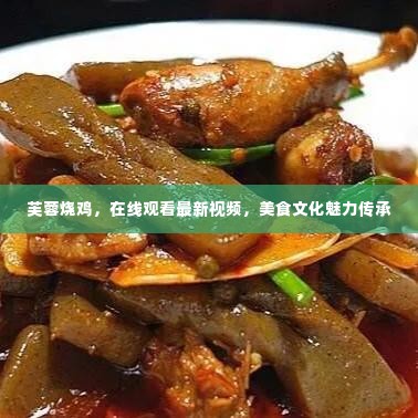 芙蓉烧鸡，在线观看最新视频，美食文化魅力传承