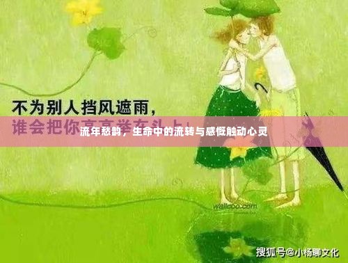流年愁韵,生命中的流转与感慨触动心灵