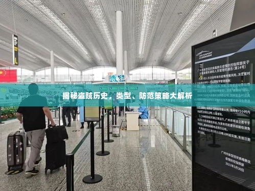 揭秘盗贼历史,类型、防范策略大解析