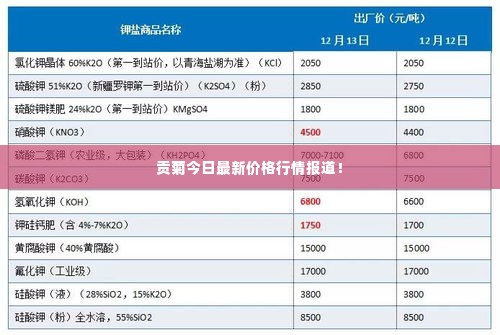 贡菊今日最新价格行情报道!