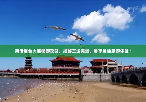 菏泽烟台大连畅游攻略，揭秘三城美景，尽享绝佳旅游体验！
