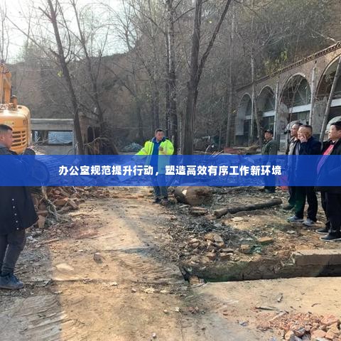 办公室规范提升行动,塑造高效有序工作新环境