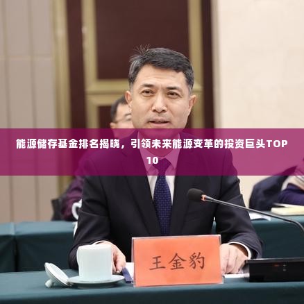 能源储存基金排名揭晓，引领未来能源变革的投资巨头TOP10