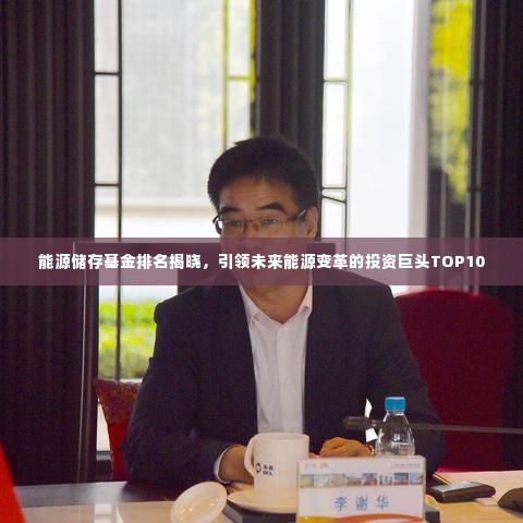 能源储存基金排名揭晓,引领未来能源变革的投资巨头TOP10